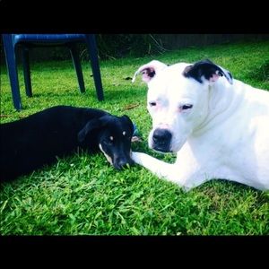 Meet your Posher, Marlene